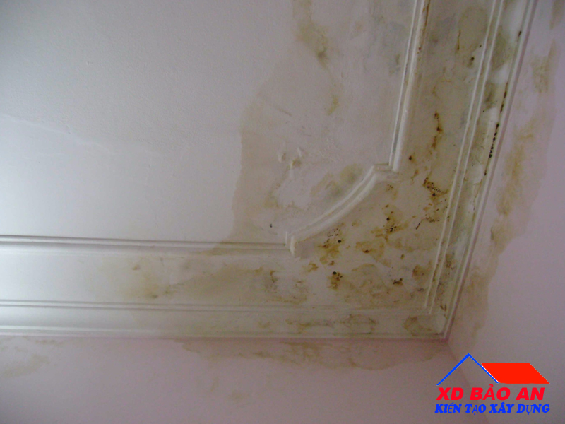 Lợi ích của chống thấm khe tường