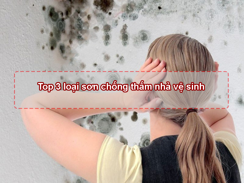 Top 3 loại sơn chống thấm nhà vệ sinh hiệu quả