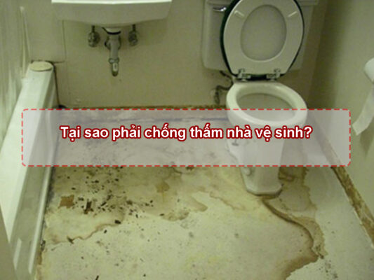Tại sao phải chống thấm nhà vệ sinh