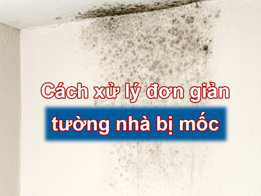 Tường nhà bị mốc: nguyên nhân, cách xử lý đơn giản
