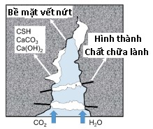 3. Nguyên lý hoạt động của bê tông tự phục hồi