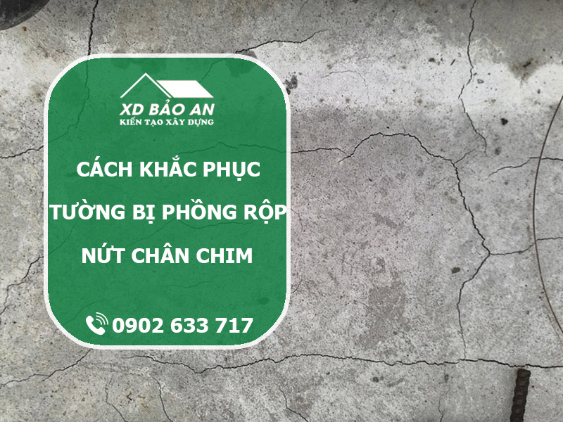 Tường bị phồng rộp nứt chân chim