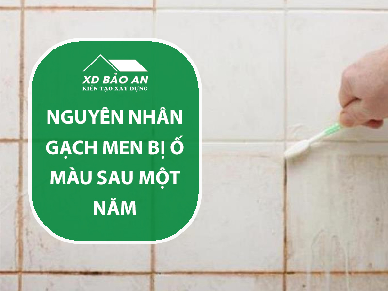 Gạch men bị ố màu sau một năm: Nguyên nhân không phải do nước