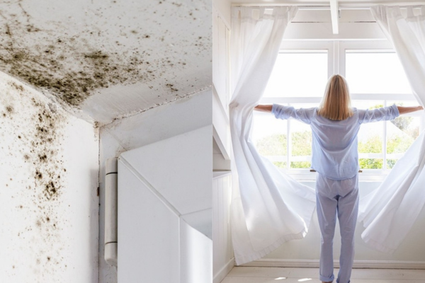 Cách xử lý nhà bị ẩm mốc mà không cần dùng hóa chất 3 2. Thông thoáng là ưu tiên số một - xử lý nhà bị ẩm mốc