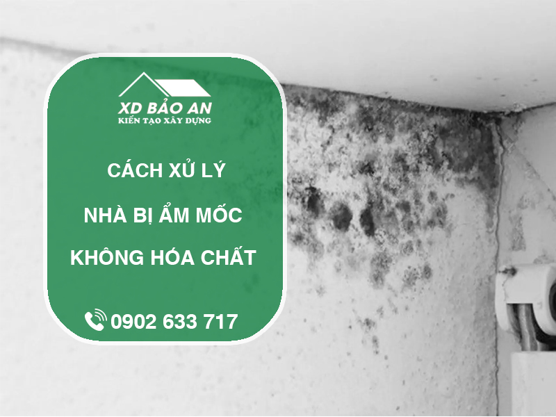 Cách xử lý nhà bị ẩm mốc mà không cần dùng hóa chất 1 Cách xử lý nhà bị ẩm mốc mà không cần dùng hóa chất