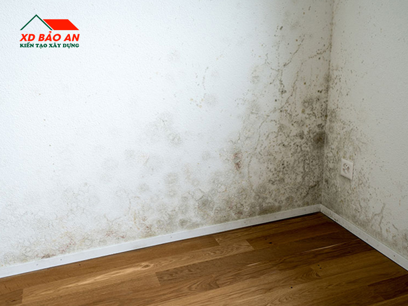 4. Hướng dẫn xử lý tường bị thấm nước mùa mưa hiệu quả