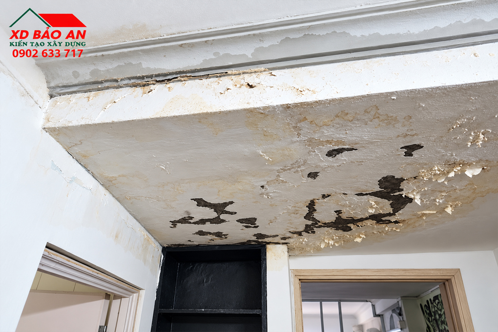Vết ố do thấm nhà vệ sinh gây ra
